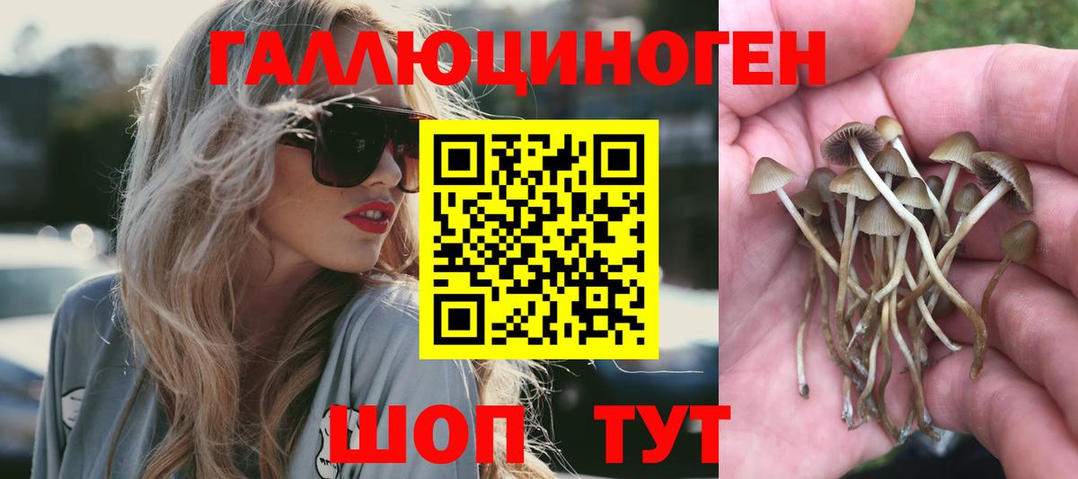 Галлюциногенные грибы Magic Shrooms  Вход с VPN  Калуга  купить закладку  Псилоцибиновые грибы MAGIC MUSHROOMS 
