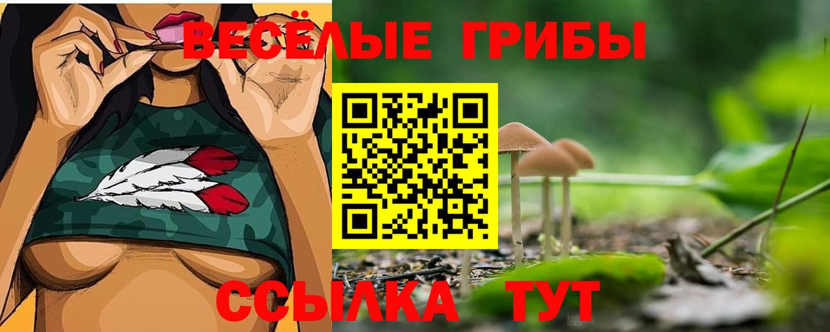Псилоцибиновые грибы ЛСД Калуга